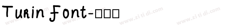 Turin Font字体转换